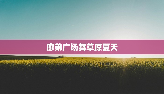 廖弟广场舞草原夏天