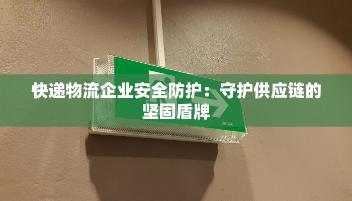 快递物流企业安全防护：守护供应链的坚固盾牌