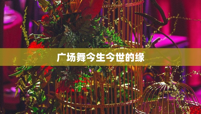 广场舞今生今世的缘 广场舞今生今世的缘