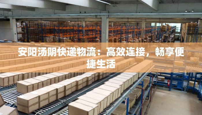 安阳汤阴快递物流：高效连接，畅享便捷生活