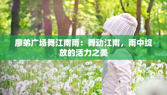 廖弟广场舞江南雨：舞动江南，雨中绽放的活力之美